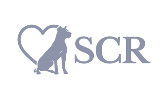 Logo4